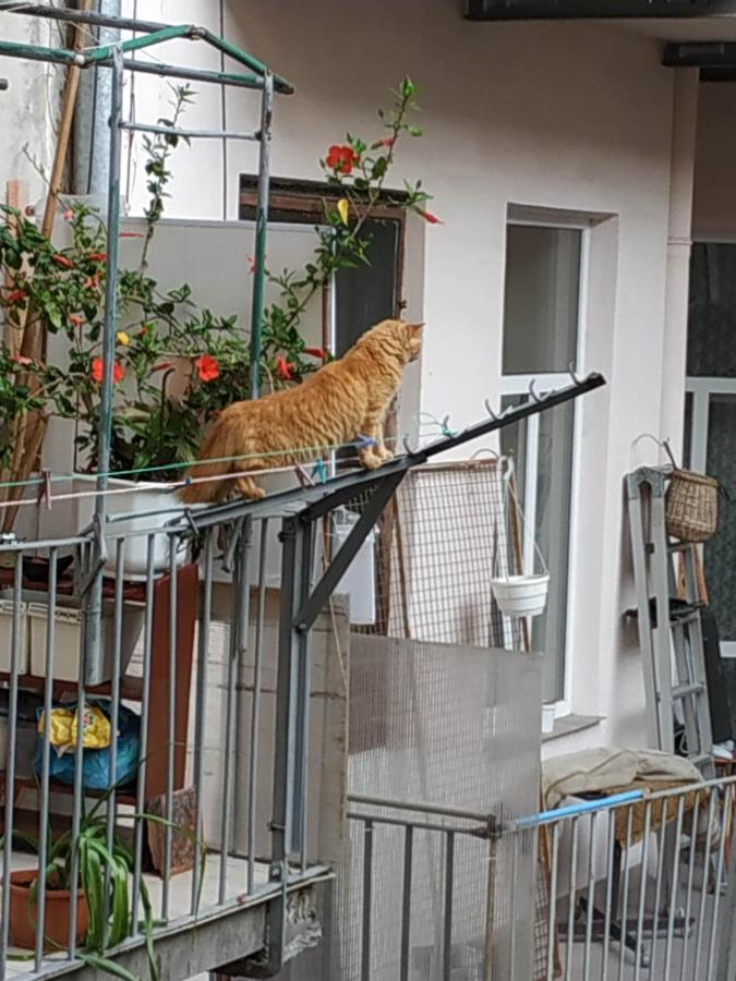 Львовский Дворик Εξωτερικό φωτογραφία